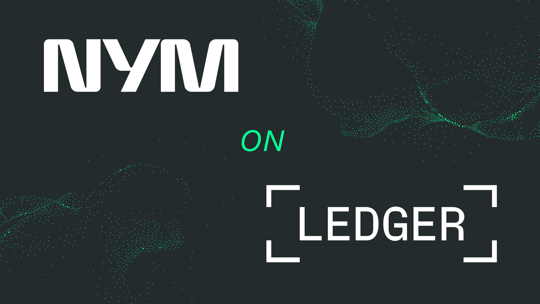 NymVPN on Ledger Atom.png
