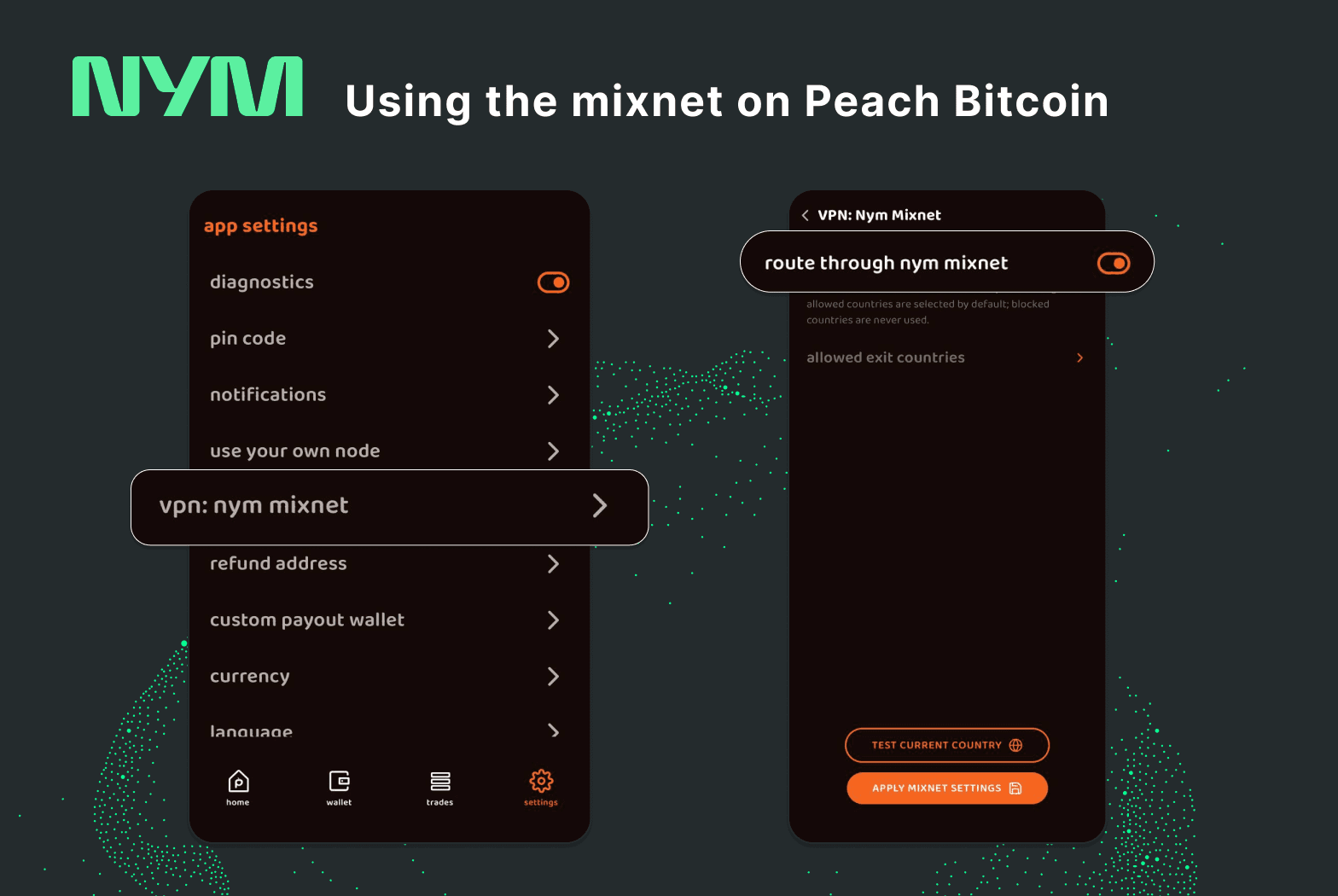 Peach app settings showing the Nym mixnet toggle and the allowed exit countries selector