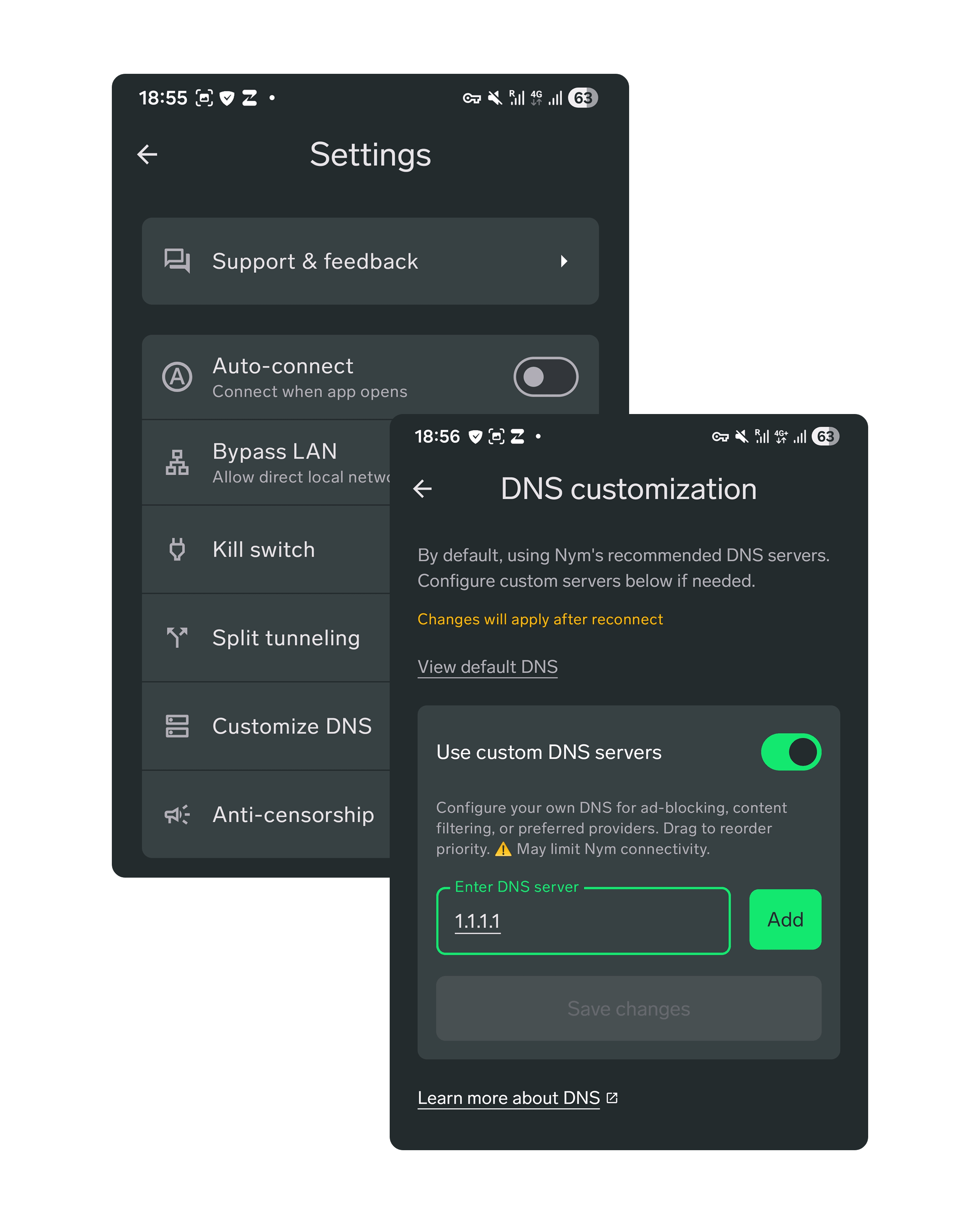 Custom DNS screen.png