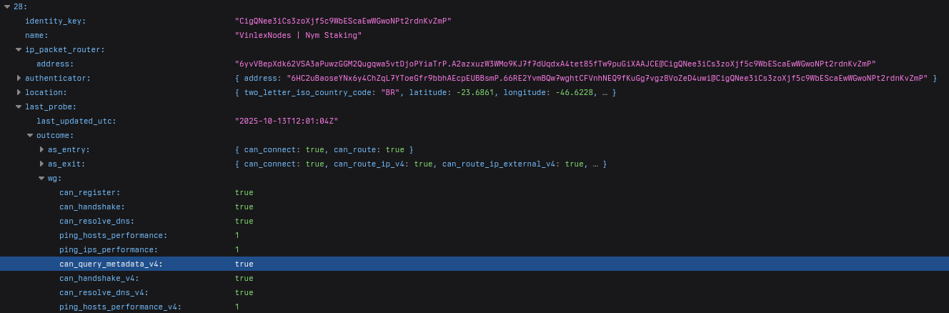 NymVPN API response with can_query_metadata_v4 set to true